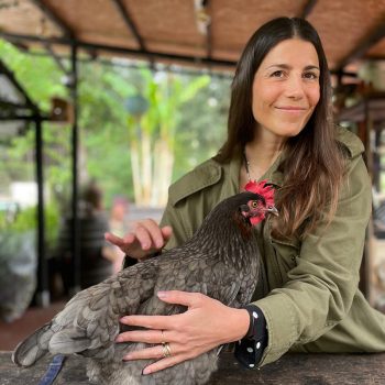 3c29bdda-4149-47d0-ada1-969757c411d6